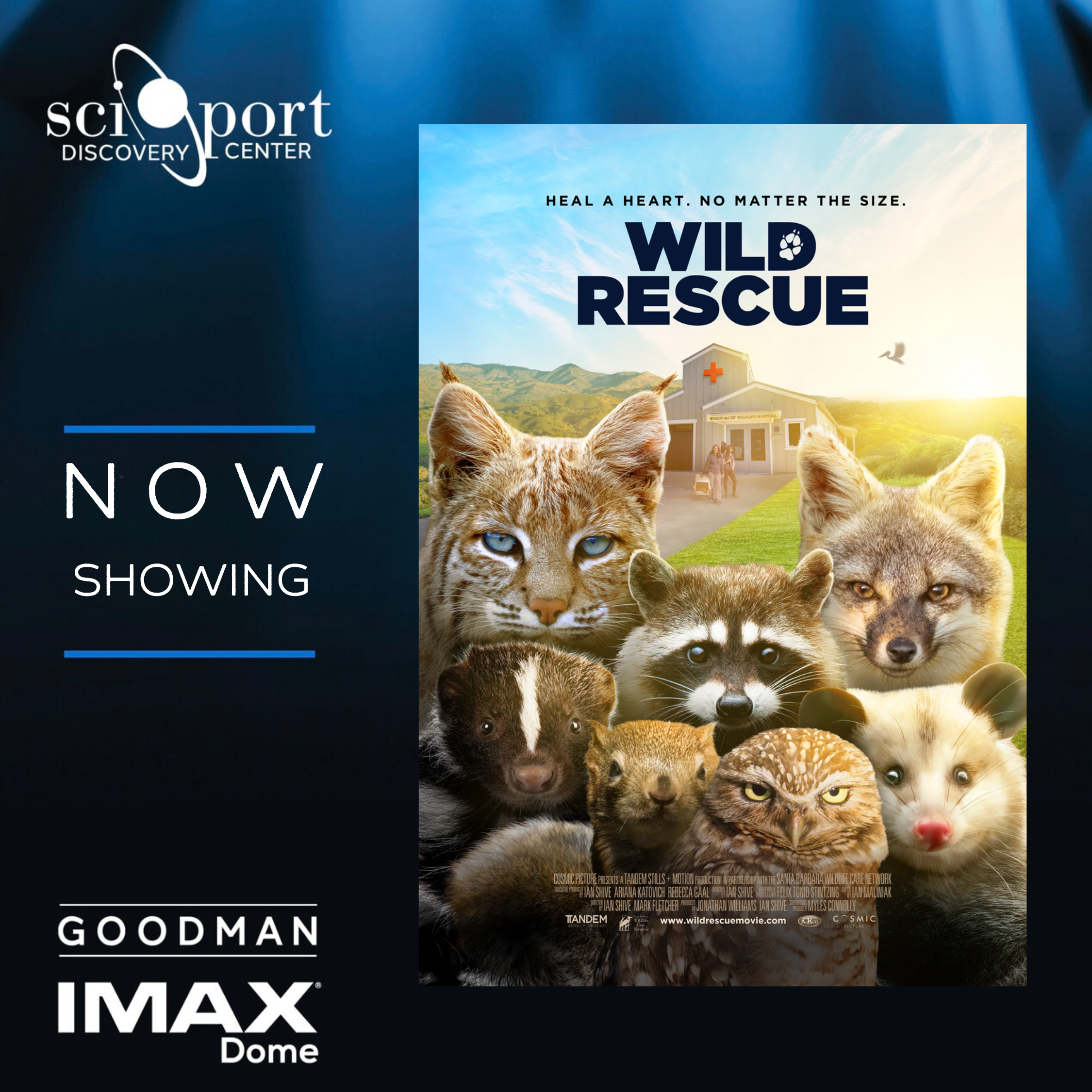 IMAX Page- Web (11)